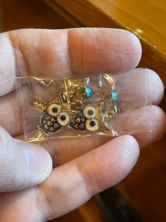 Jewelry - Gold Owl Charm Earrings with Teal Crystal Accents
NWOT